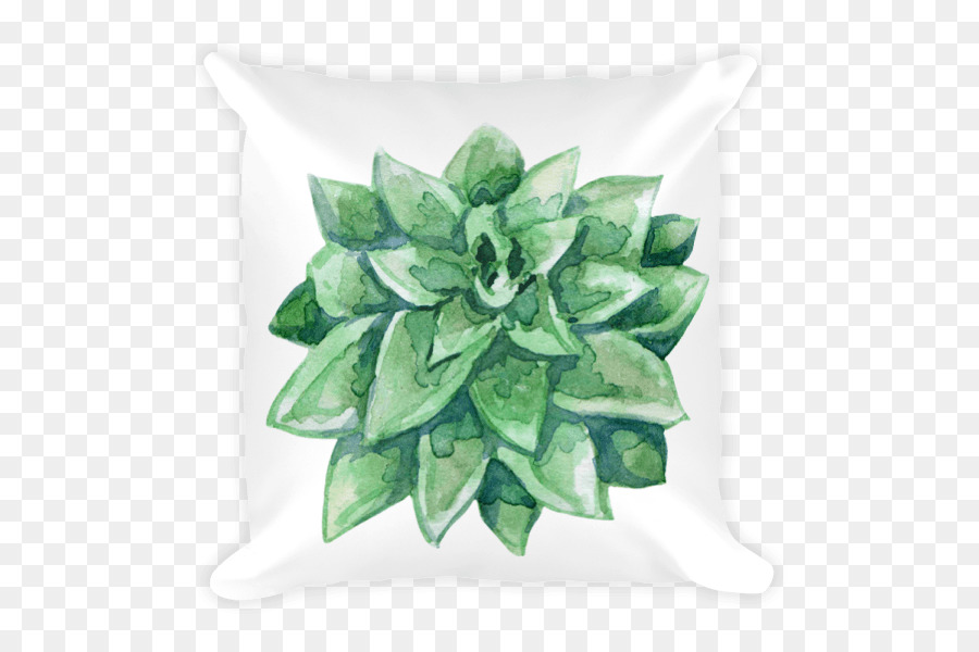 Planta Suculenta，Echeveria PNG