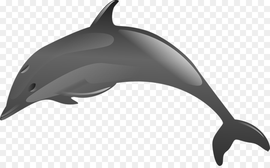 Dolphin，Descargar PNG