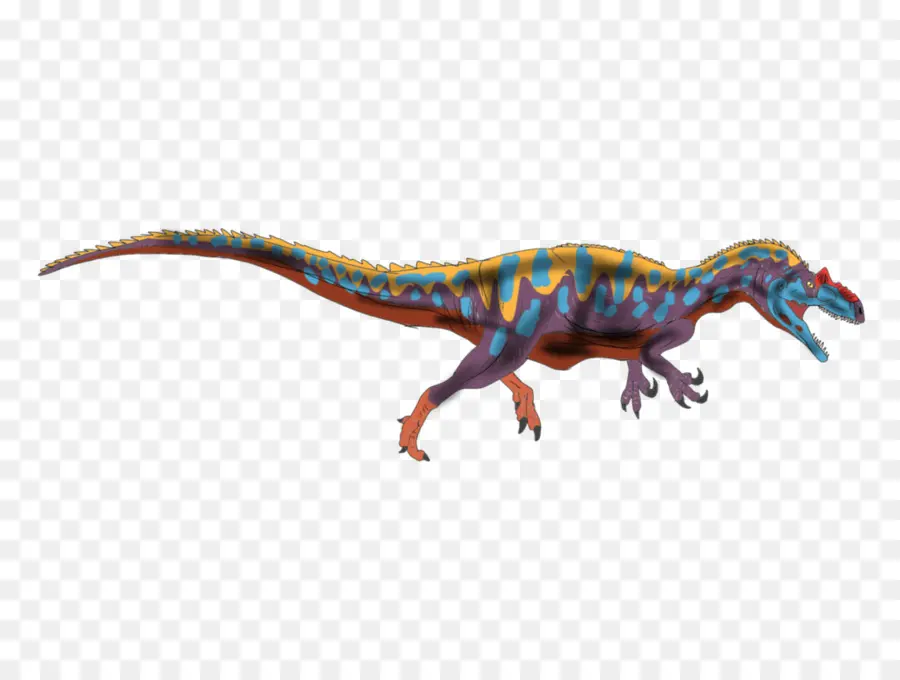 Allosaurus，Tyrannosaurus PNG