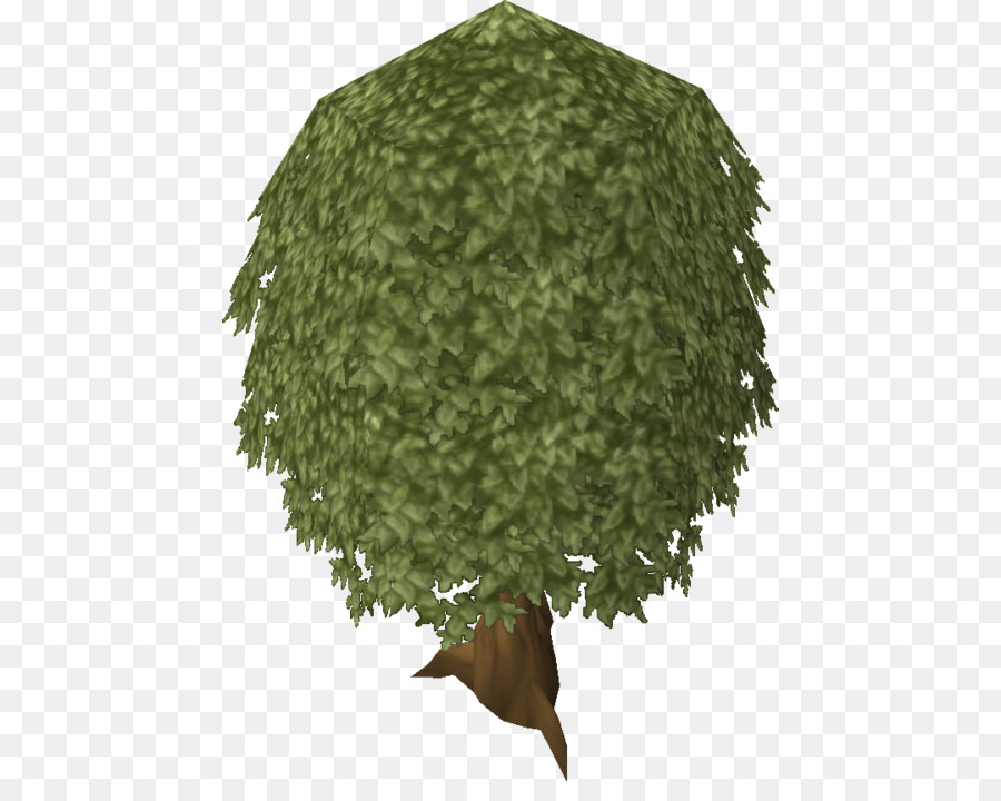 árbol，Roble PNG