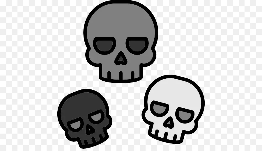 Cráneo，Esqueleto PNG
