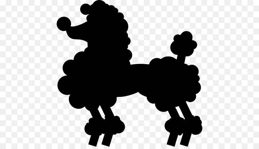 Caniche，Poodle Estándar PNG