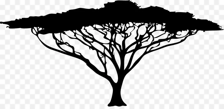 árbol Africano，áfrica PNG