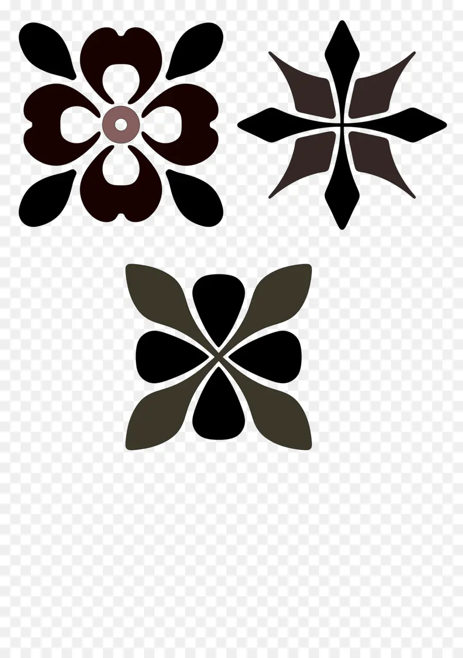 Patrones Florales，Flores PNG