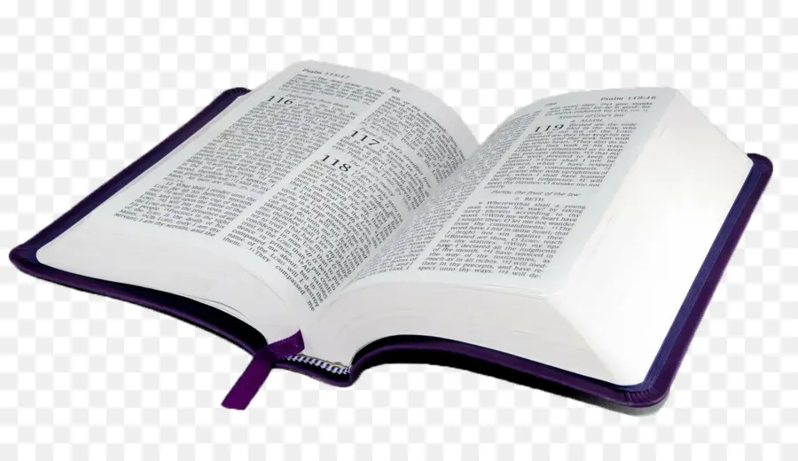 La Biblia，El Estudio De La Biblia PNG