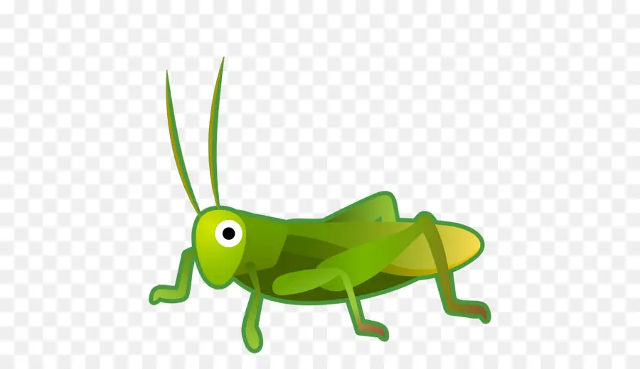 Emoji，Cricket PNG