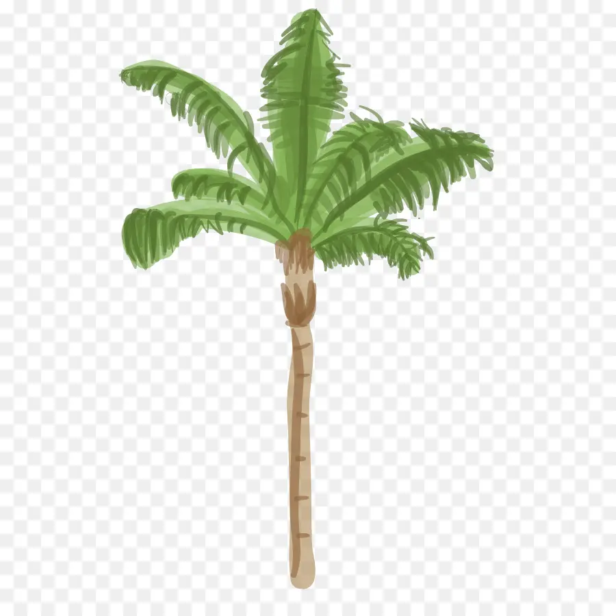 Arecaceae，árbol PNG