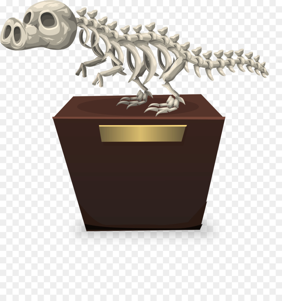 Tyrannosaurus，Fósiles PNG