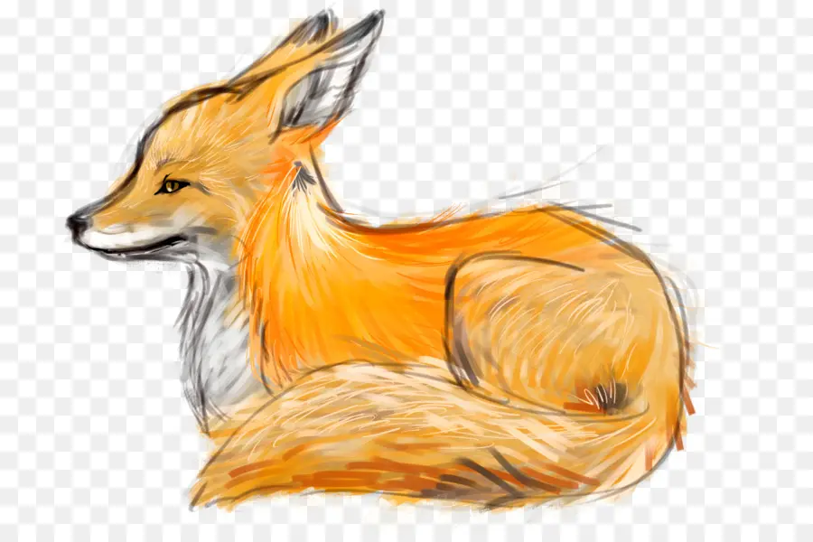 Dibujo，Fox PNG