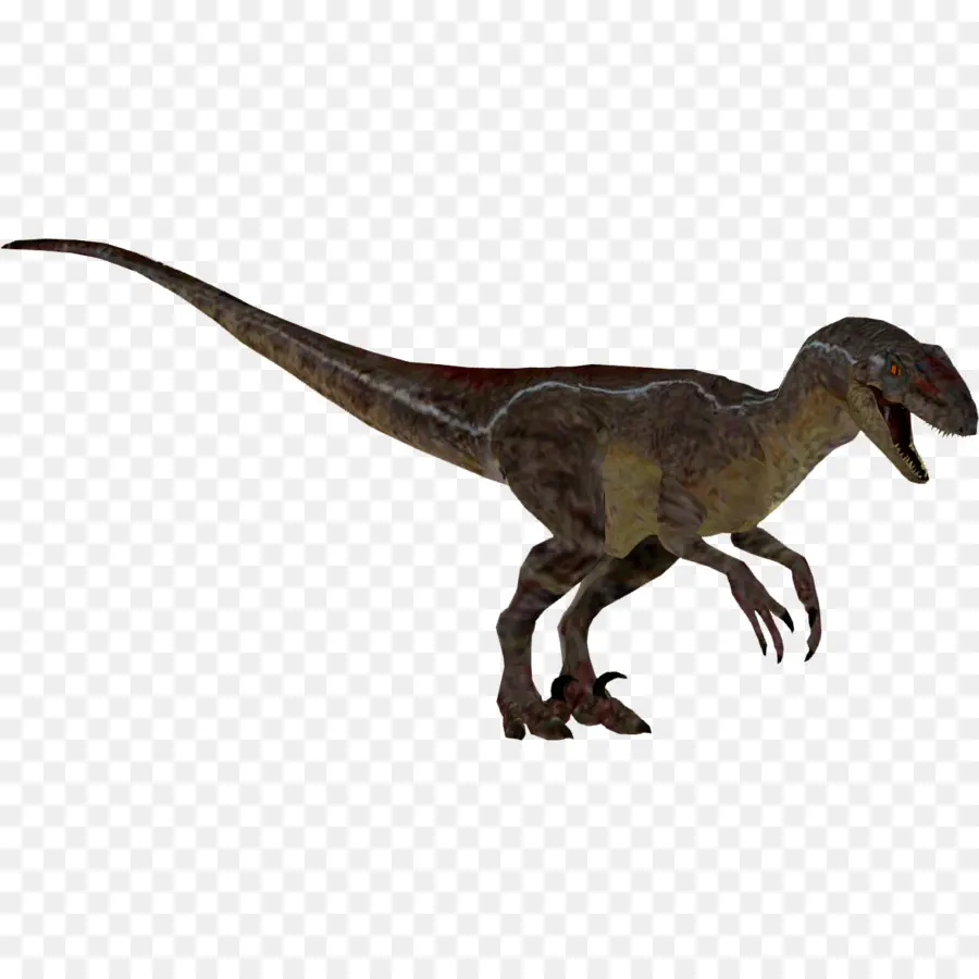 Velociraptor，Zoo Tycoon 2 Marine Mania PNG
