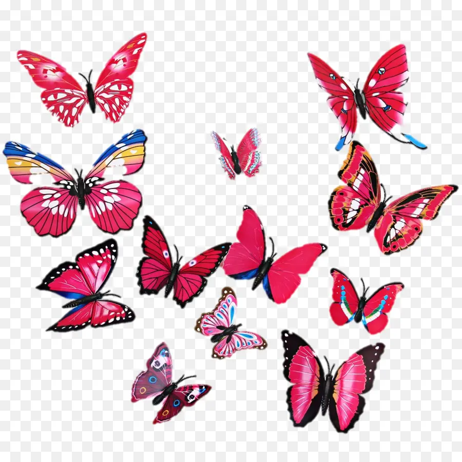 Mariposas，Alas PNG