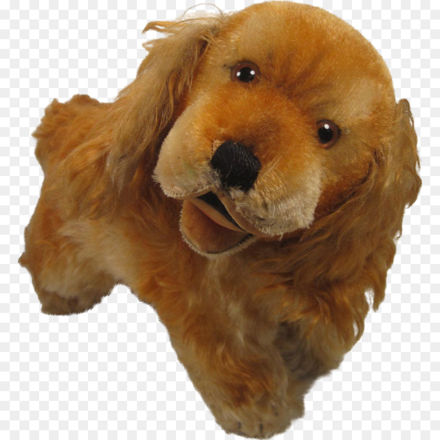 American Cocker Spaniel，Cockapoo PNG