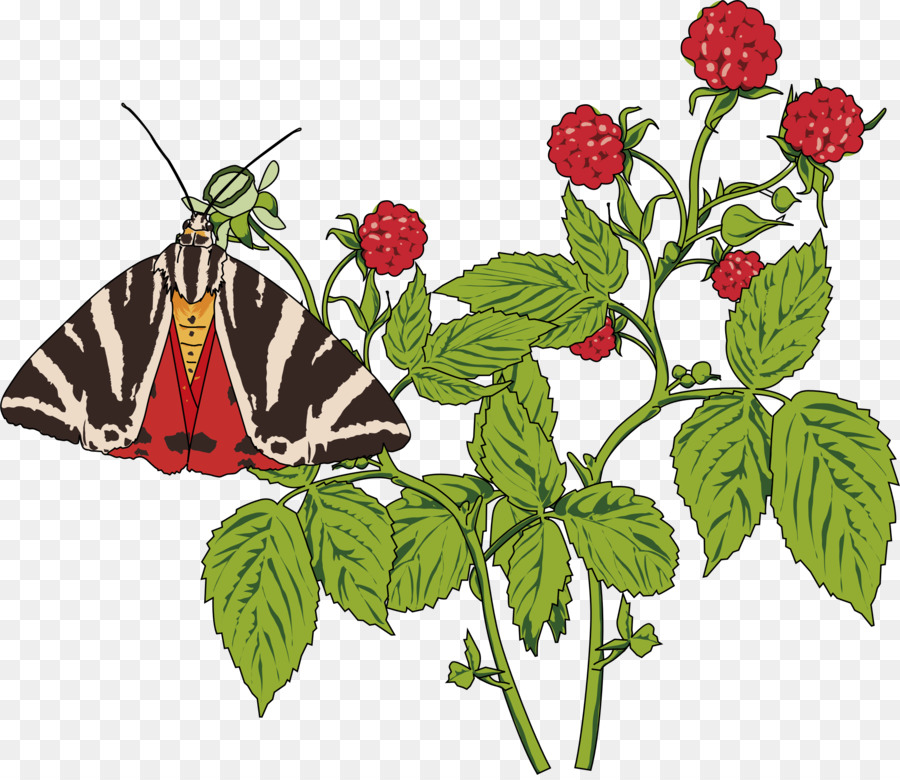 Mariposa，Papillon Perro PNG