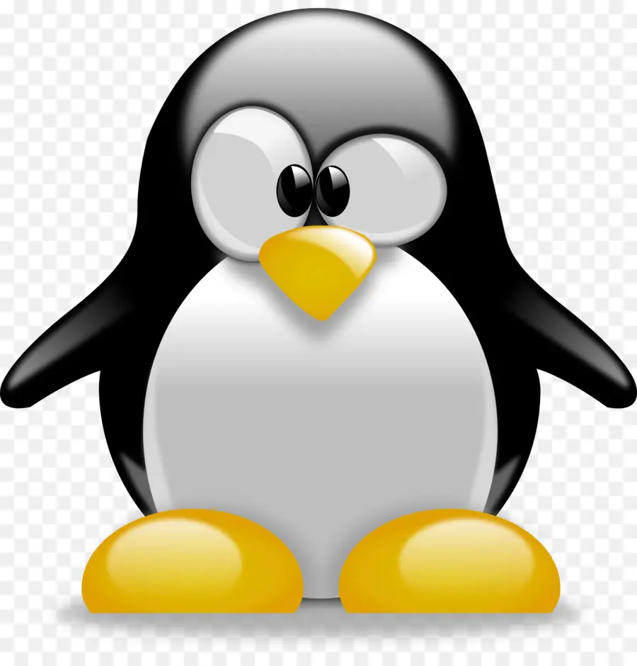 Penguin，Dibujo PNG