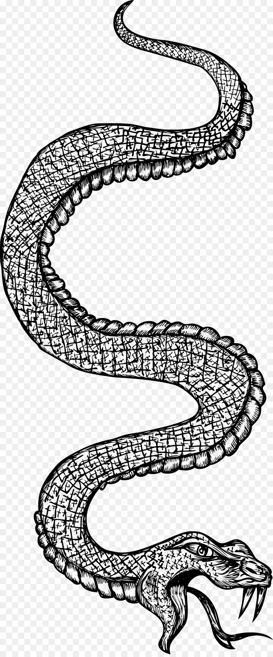 La Serpiente，En Blanco Y Negro PNG