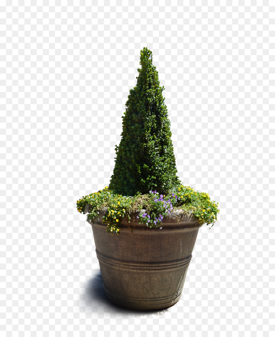 Florero，Stock PNG