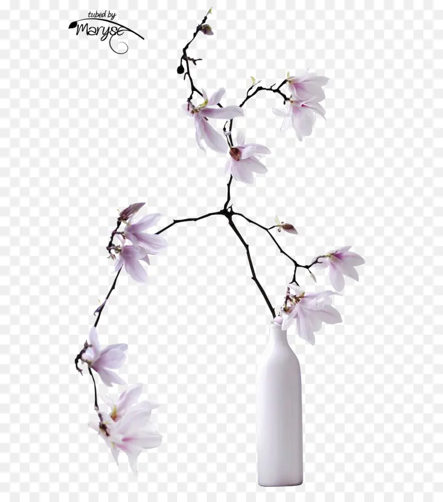 Flor，Florero PNG