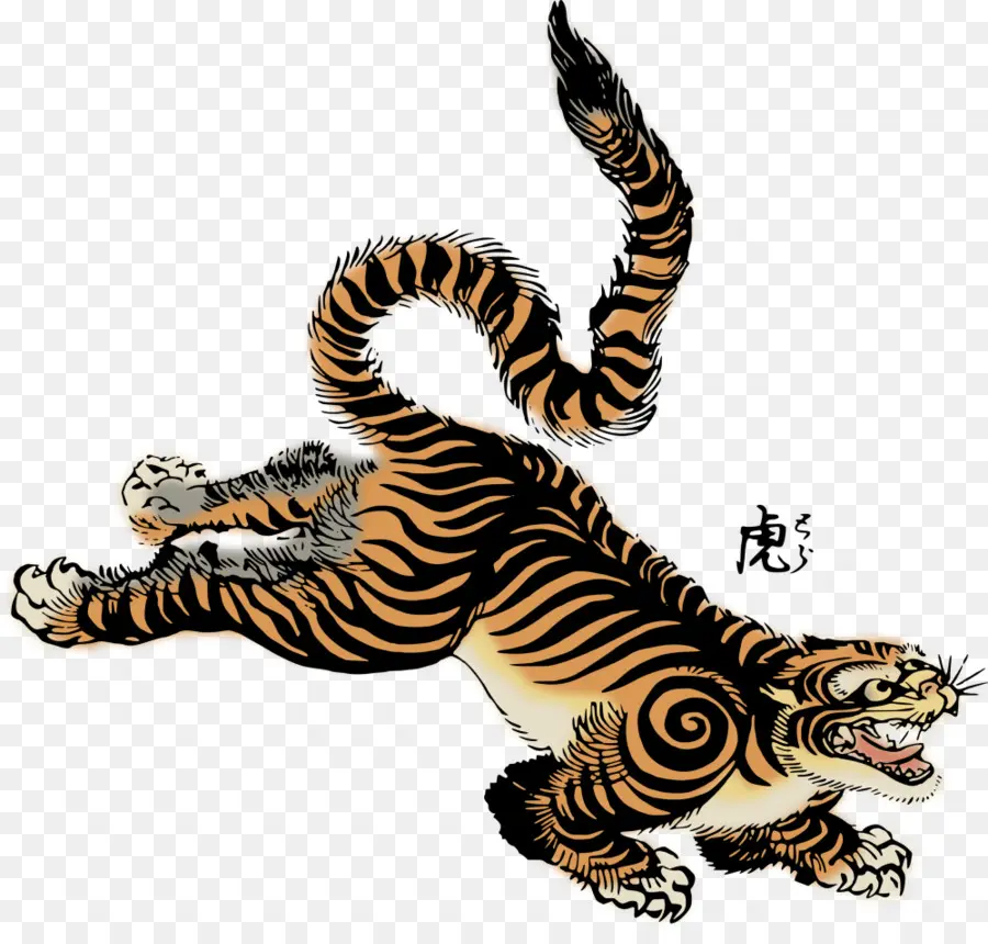 Tigre，Tigre Blanco PNG