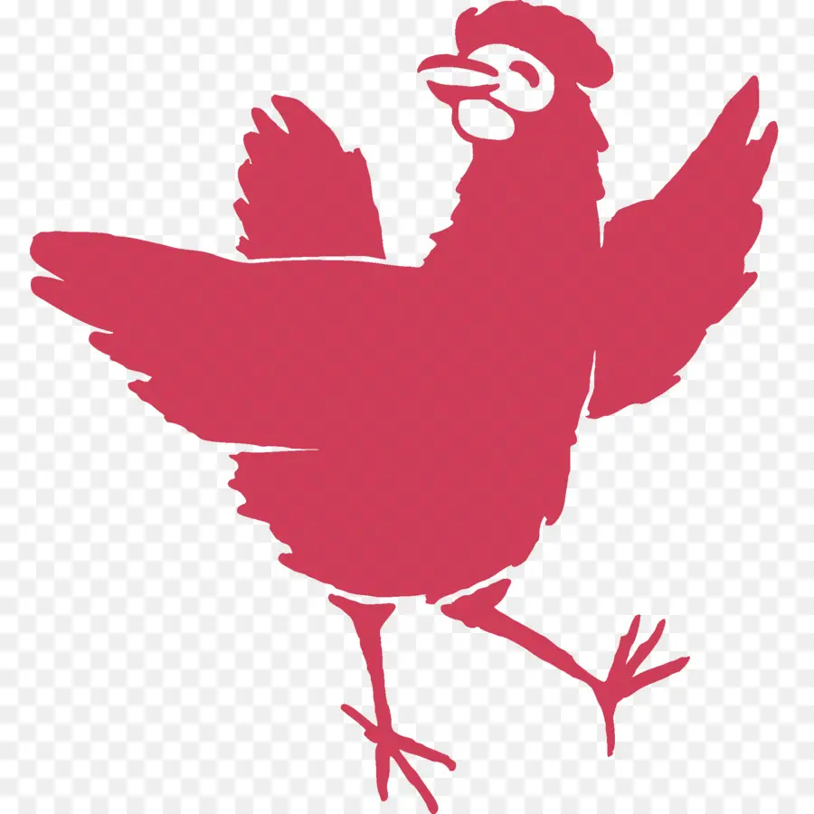 Pollo，Pájaro PNG