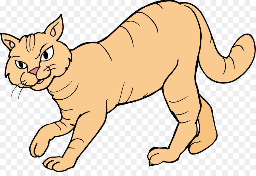 Ragdoll，Gatito PNG