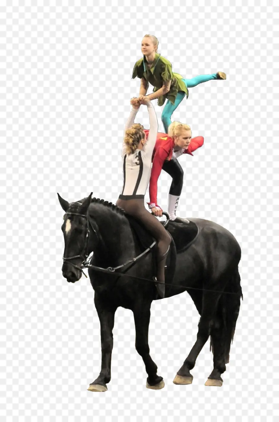 Acrobacias Ecuestres，Caballo PNG