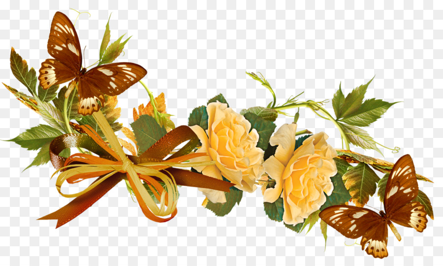 Flor，Color PNG