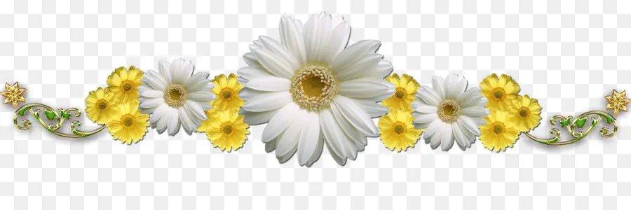 Flor，Texto PNG