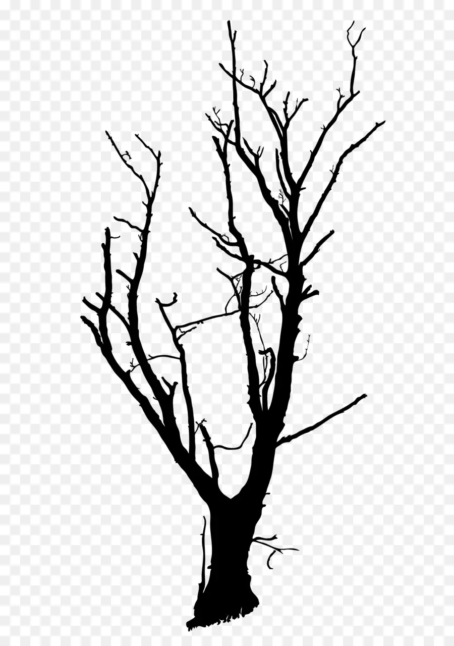 árbol，Dibujo PNG