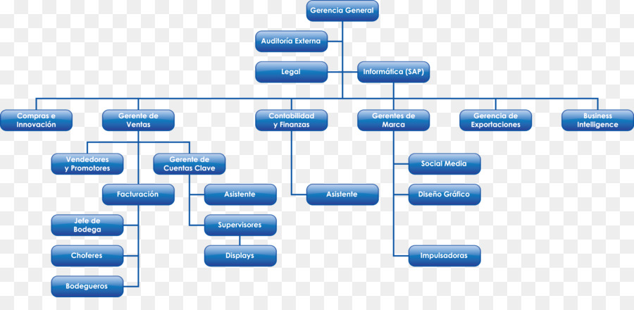 Organigrama，Estructura PNG