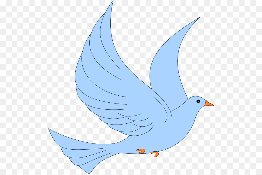 Pájaro Azul，Vuelo PNG