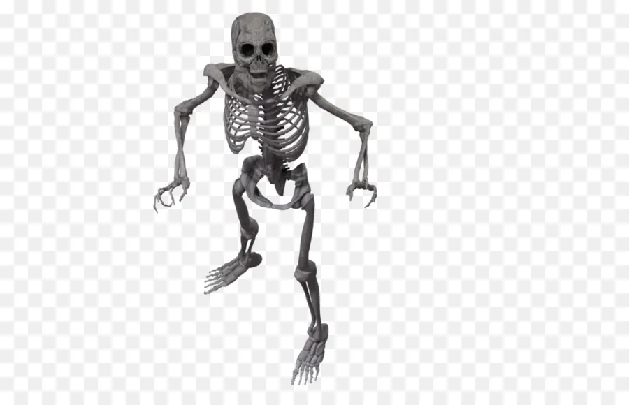 Esqueleto，Esqueleto Humano PNG