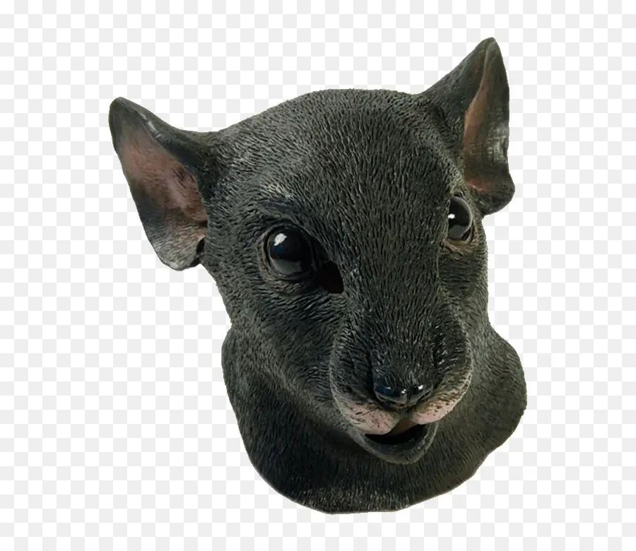 Máscara，Animal PNG