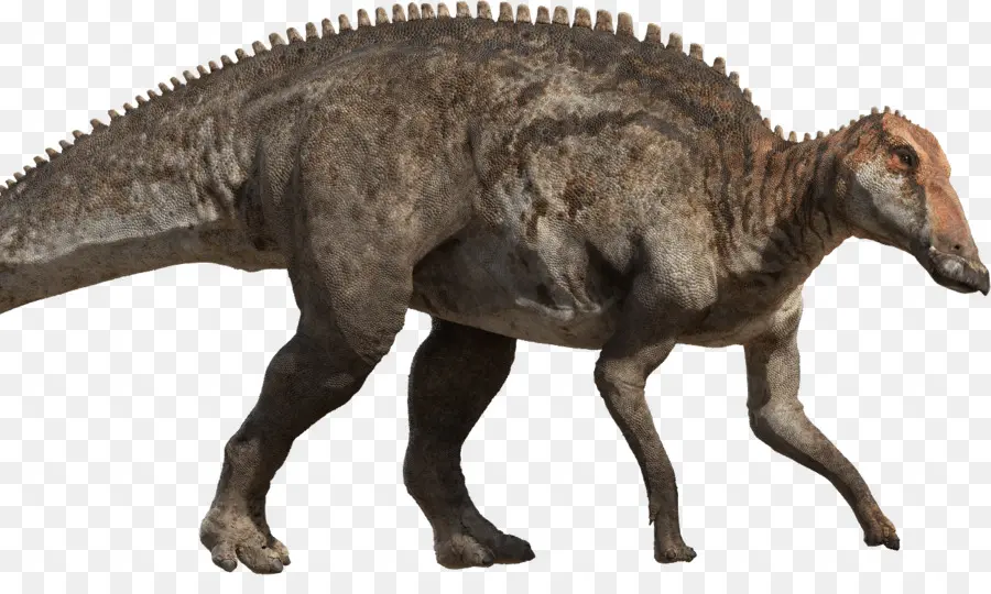 Tiranosaurio，Cretácico Tardío PNG