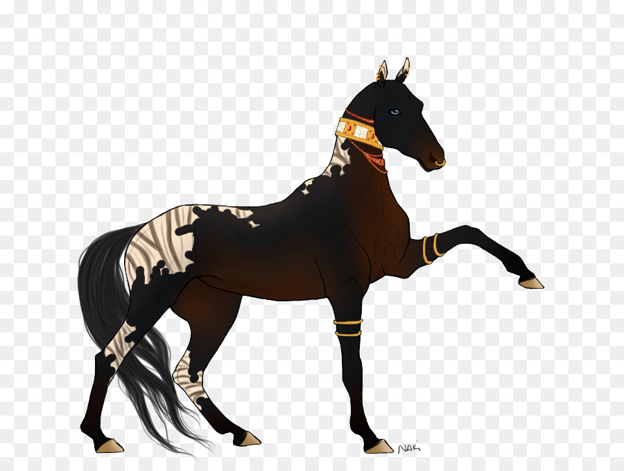 Caballo Cebra，Cebra PNG