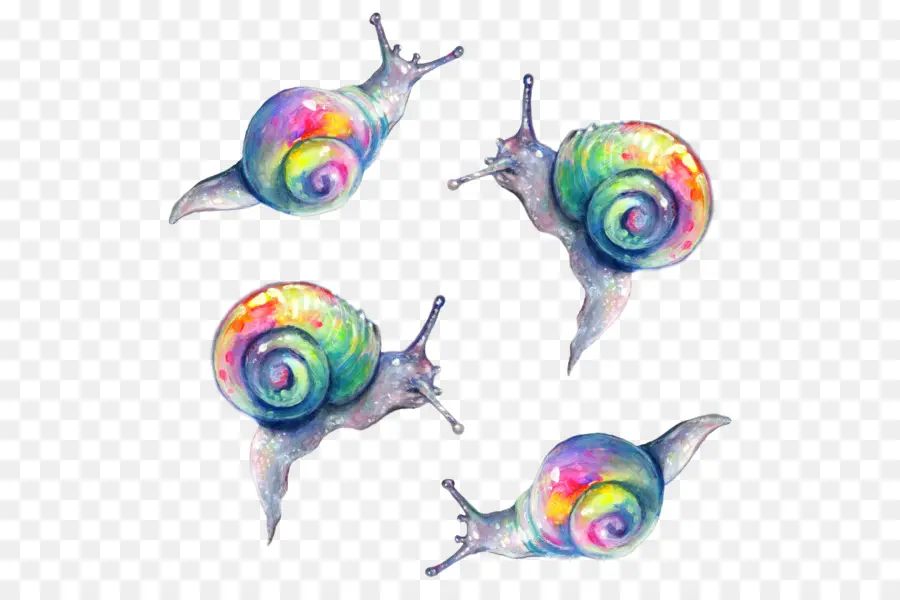 Caracoles Coloridos，Arcoíris PNG