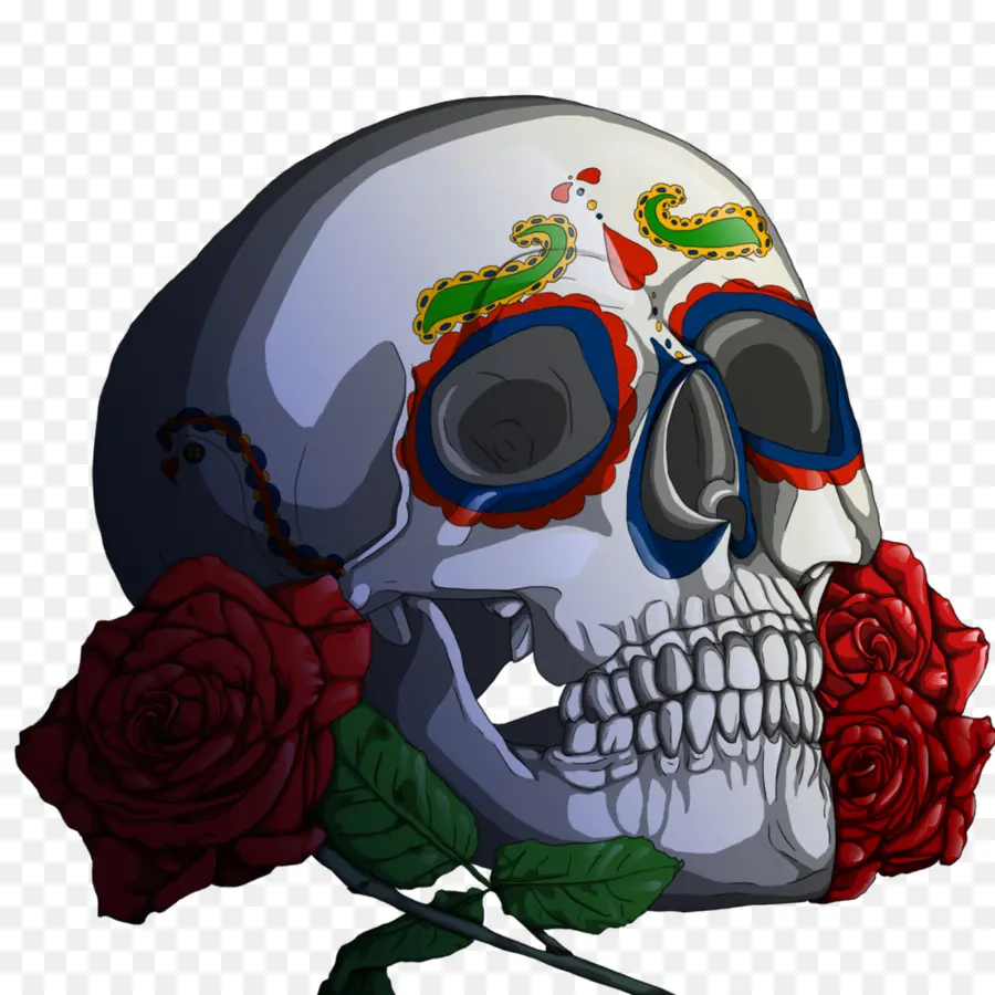 Calavera，Cráneo PNG