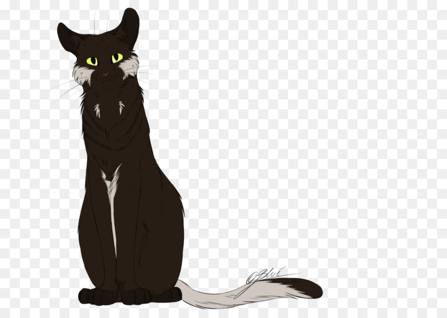 Gato，Gatito PNG