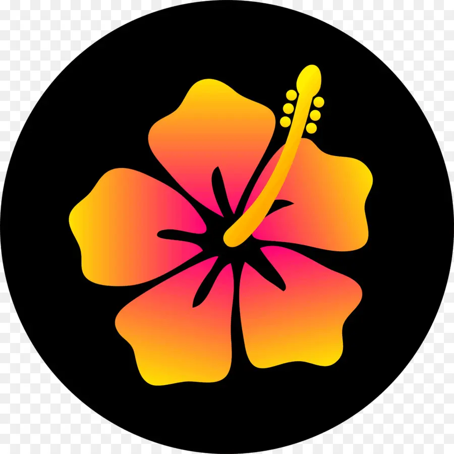 Hawaii，Dibujo PNG