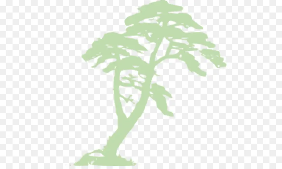 árbol，Naturaleza PNG