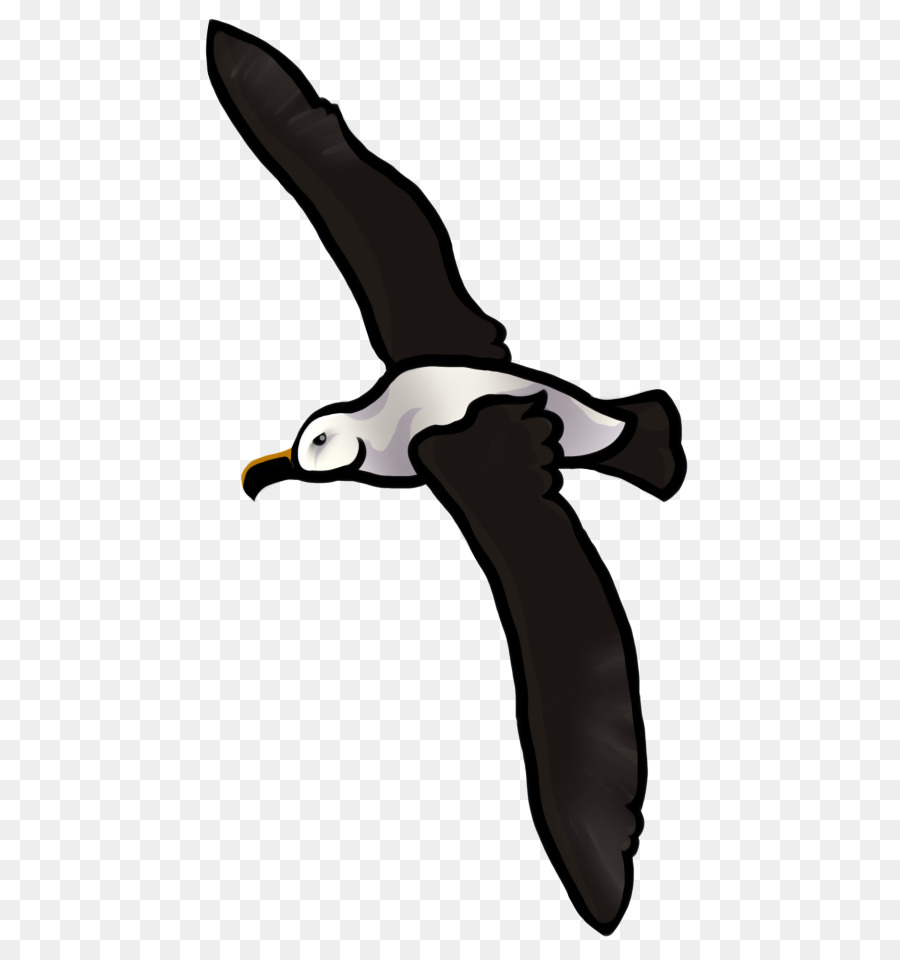 Pájaro，Flightless Bird PNG