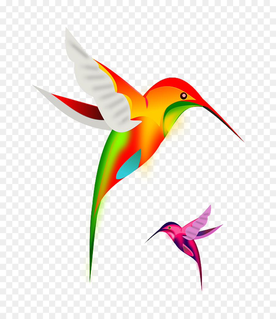 Colibrí，Vistoso PNG