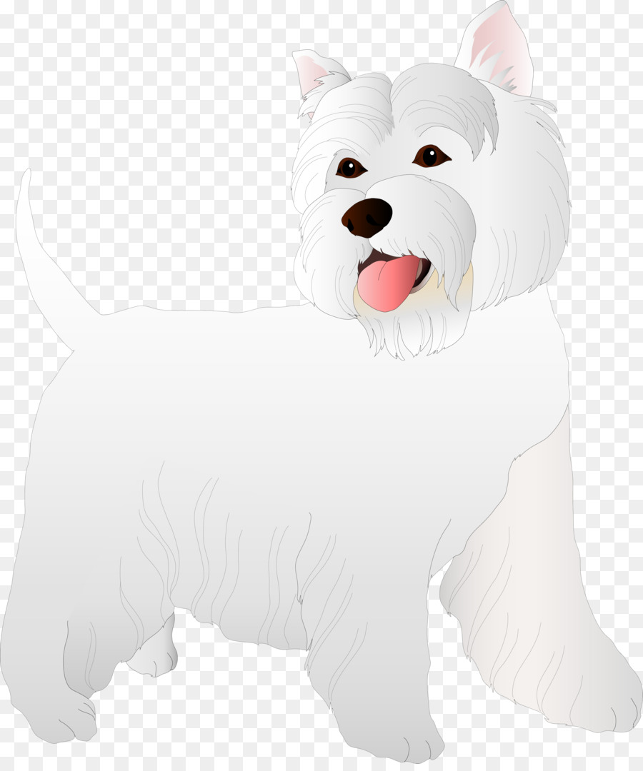 West Highland White Terrier，Raza De Perro PNG