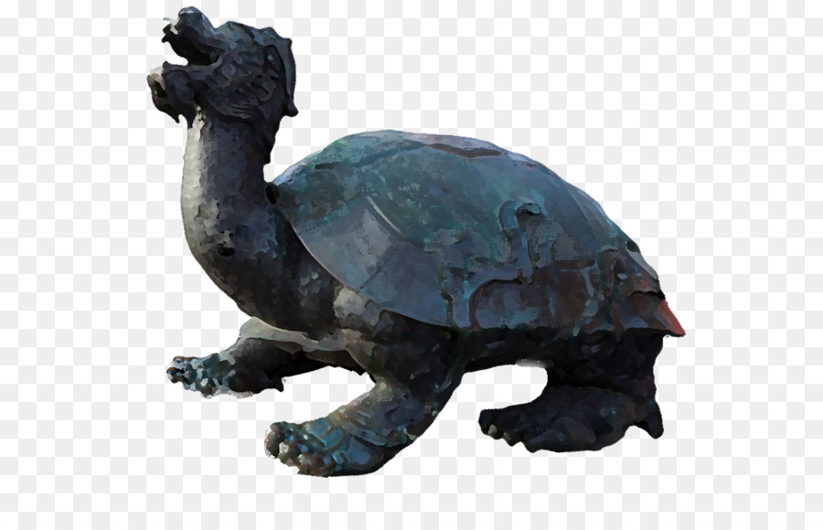 Tortuga，Reptiles PNG