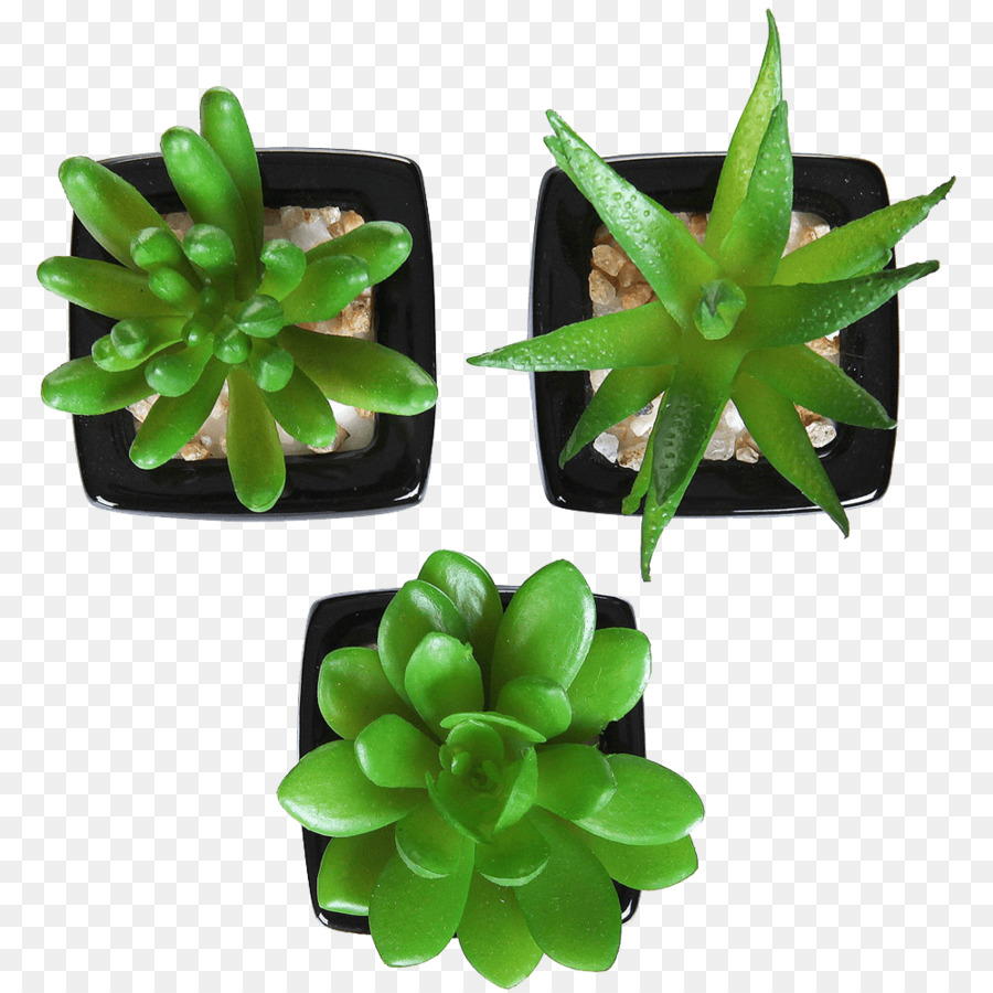 Planta，Flores Artificiales PNG