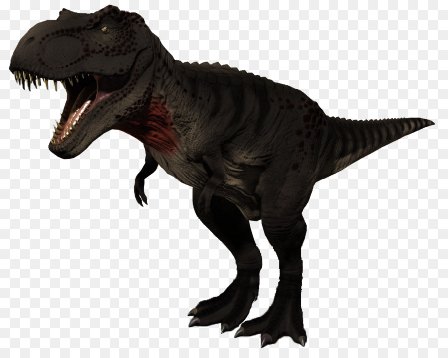 Tyrannosaurus，Rajasaurus PNG