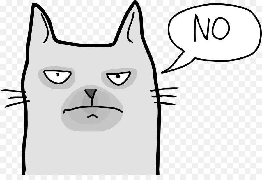 Grumpy Cat，Gato PNG