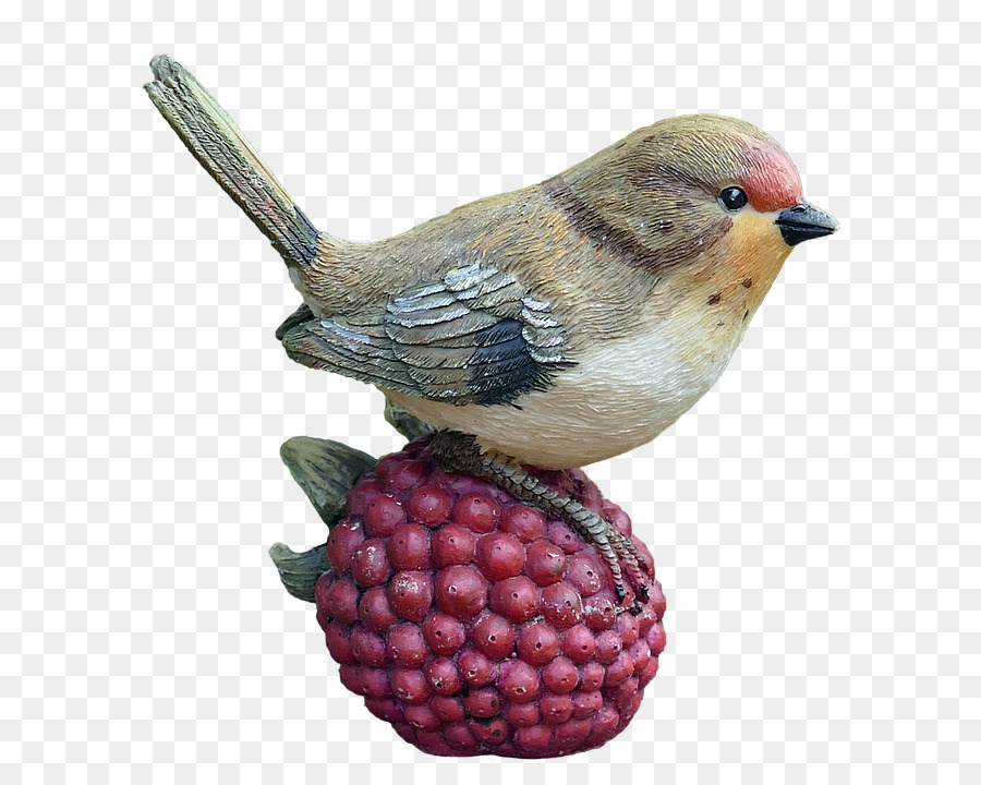 Pájaro，Reyezuelo PNG