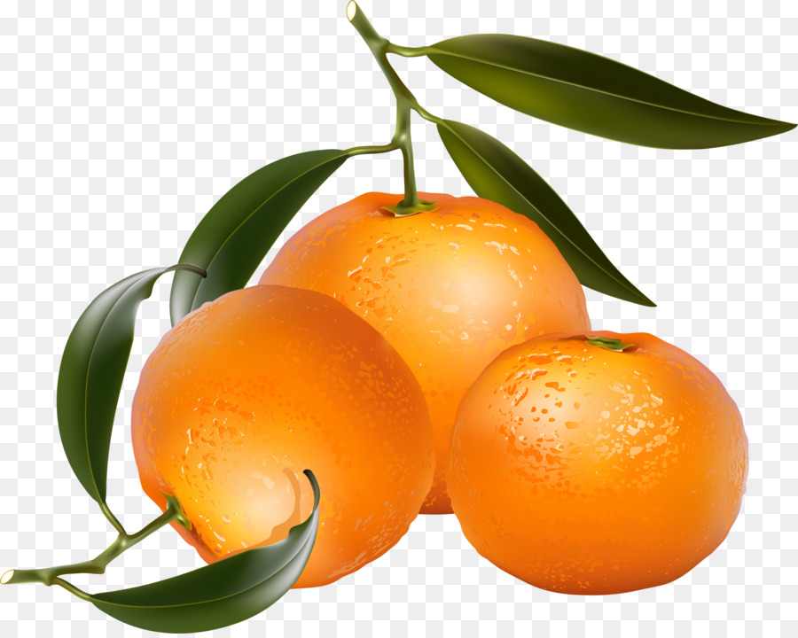 Mandarina，La Fotografía PNG