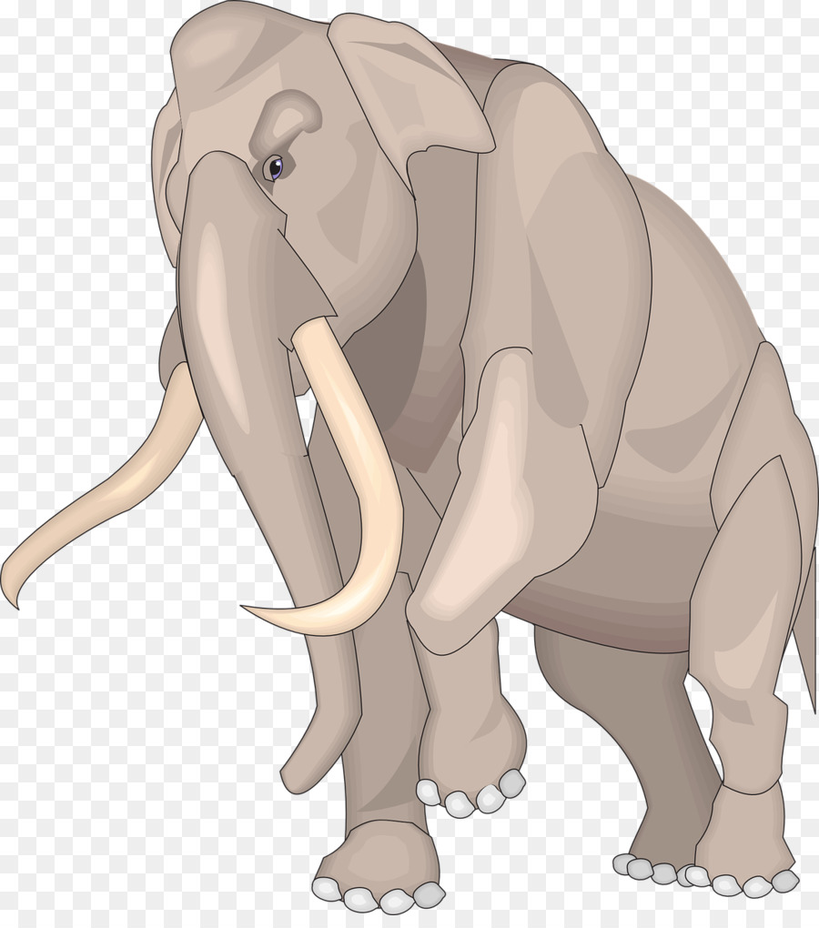 El Elefante Africano，Elefante PNG