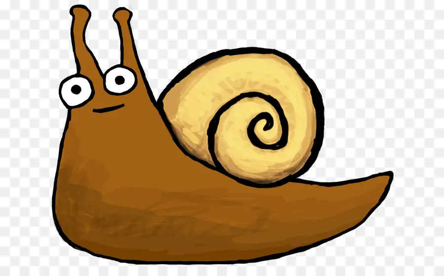 Caracol，Gasterópodos PNG